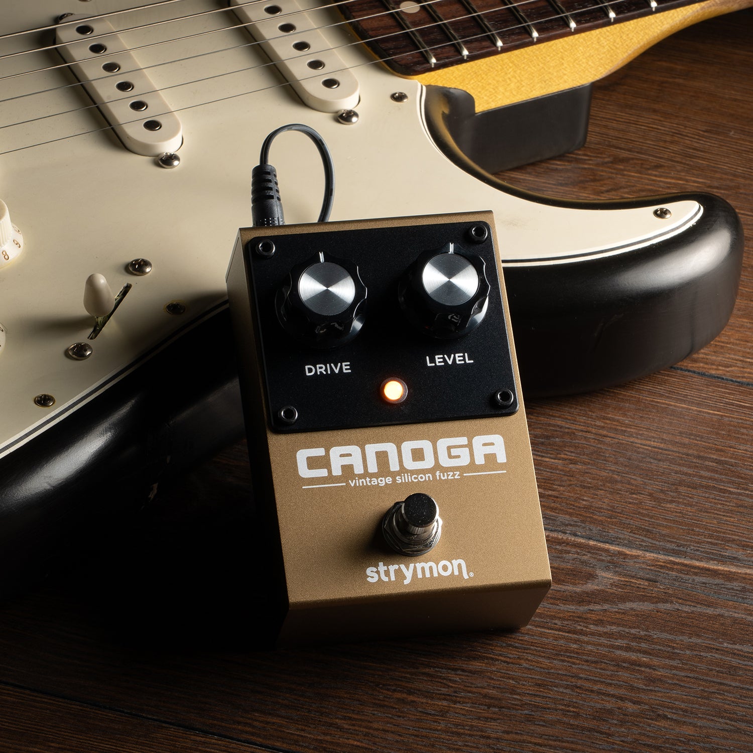 strymon CANOGA ファズペダル
