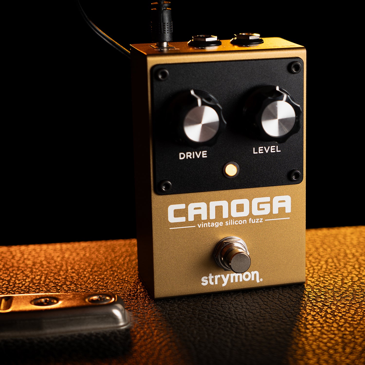 strymon CANOGA ファズペダル