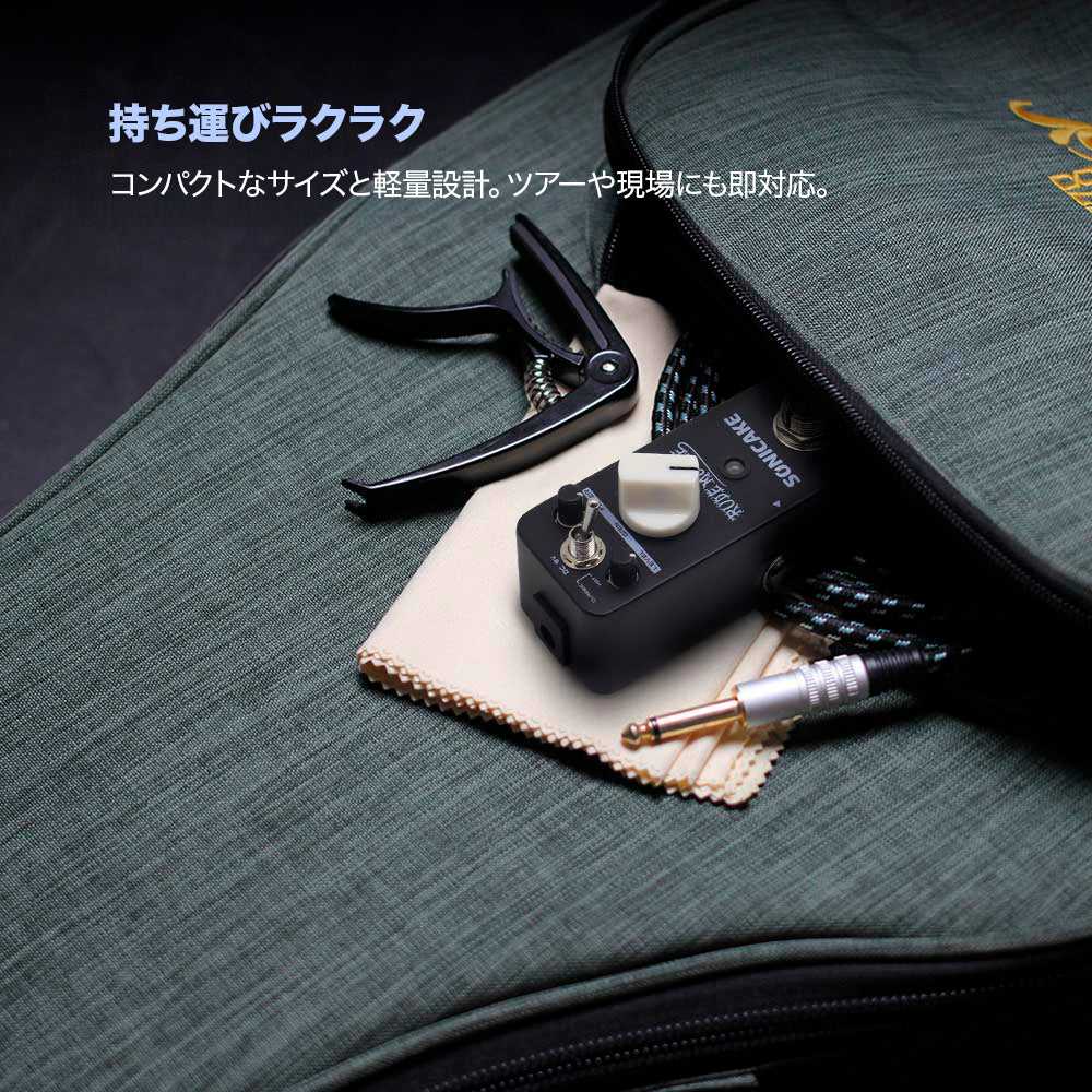 rick gram studiosタバコバズ 初期ロット 希少エフェクター rick gram studiosタバコバズ 初期ロット 希少エフェクター 10