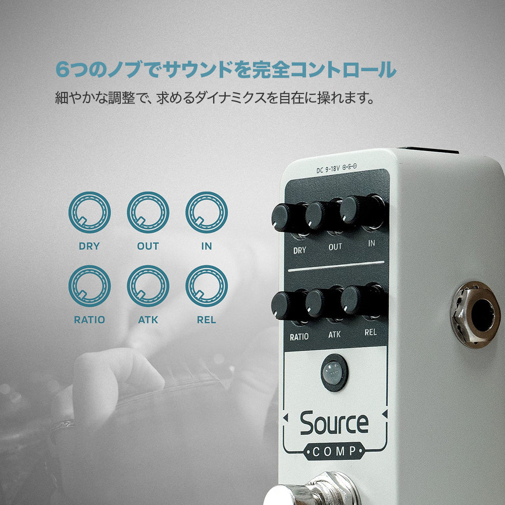 アナコン（あなみ食品）⚠️プロフ必読⚠️様 専用 Sonicake Source Comp コンプ