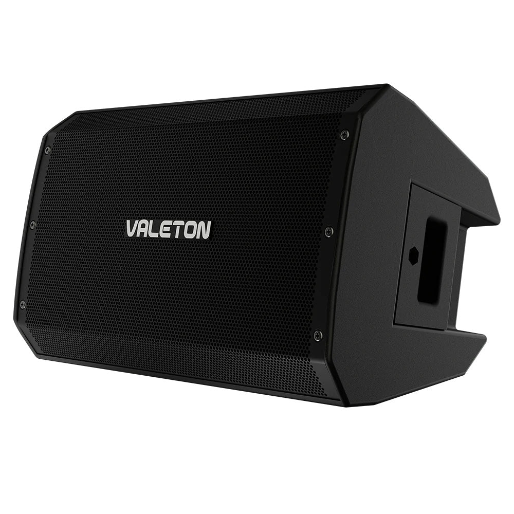 Valeton VFR-110 スピーカー