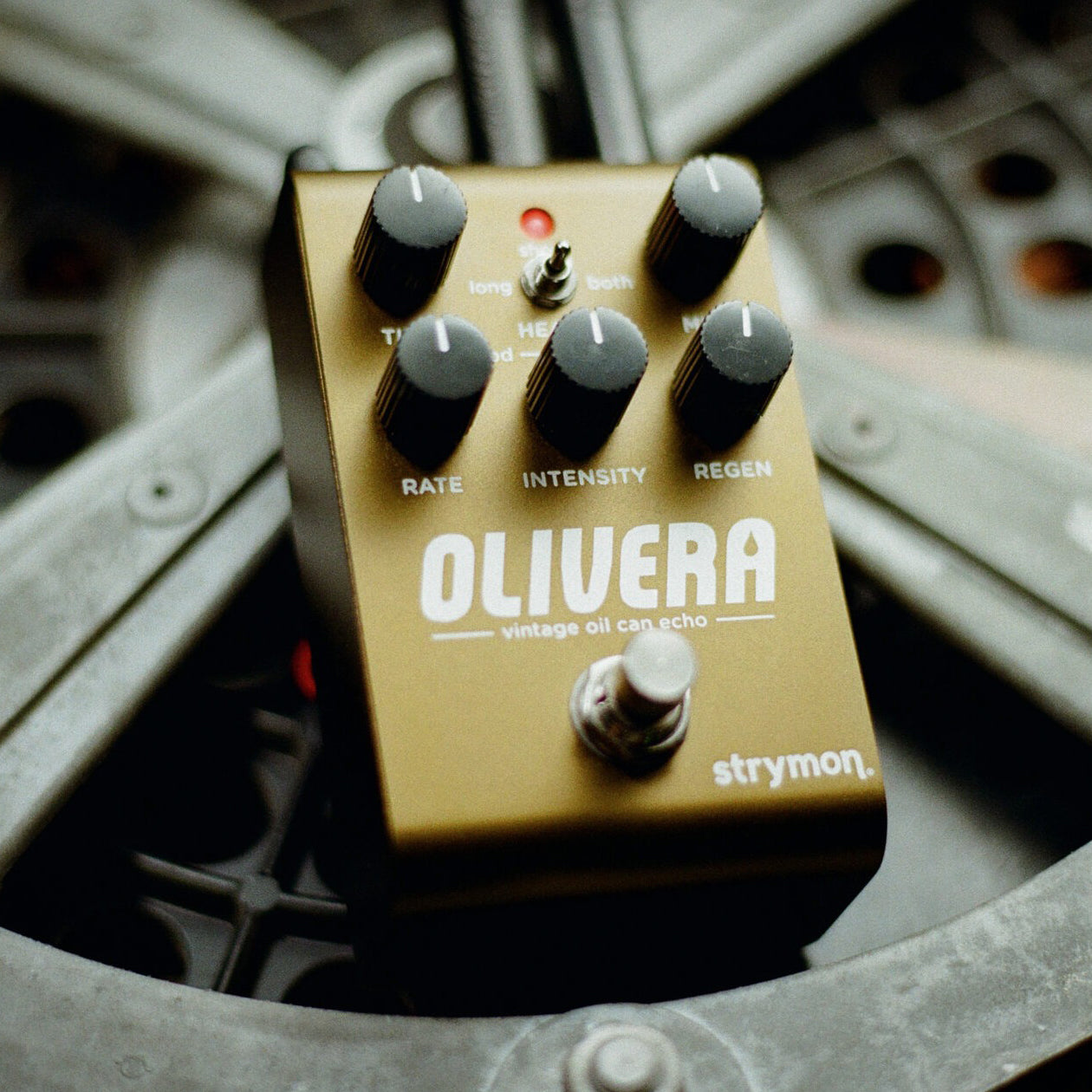 strymon OLIVERA ビンテージオイル缶 エコー