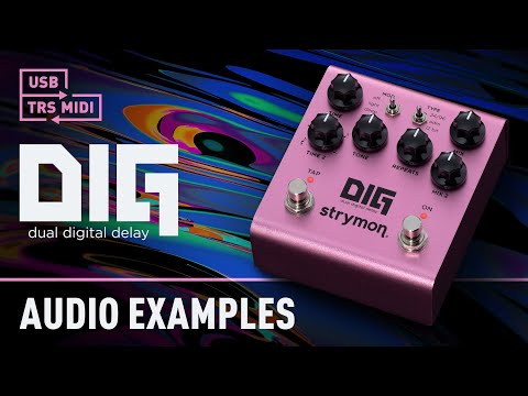 strymon DIG(V2) デュアルデジタルディレイ