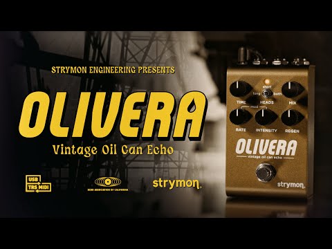 strymon OLIVERA ビンテージオイル缶 エコー