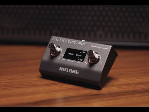 Hotone Pulze Control