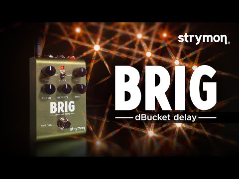 strymon BRIG dBucket ディレイ