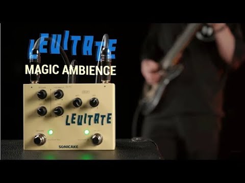 Sonicake Levitate デジタルディレイ／プレートリバーブ