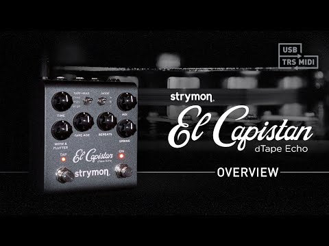 strymon El Capistan(V2) テープエコーエミュレーター